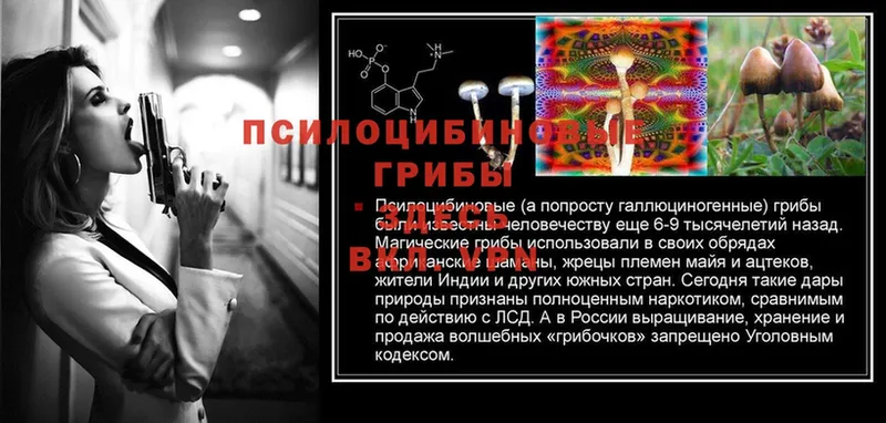 купить  сайты  Балтийск  Галлюциногенные грибы MAGIC MUSHROOMS 